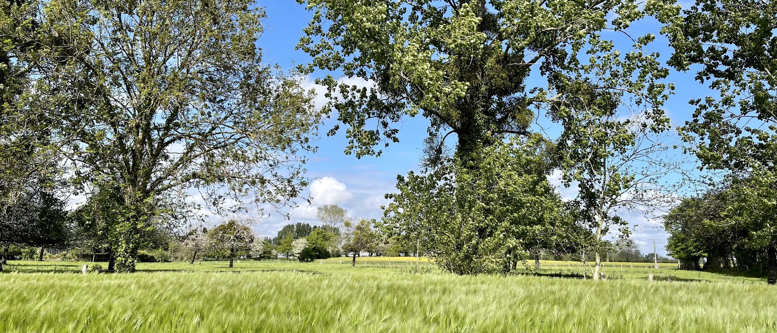 Folligny, La Beslière & Le Mesnil-Drey