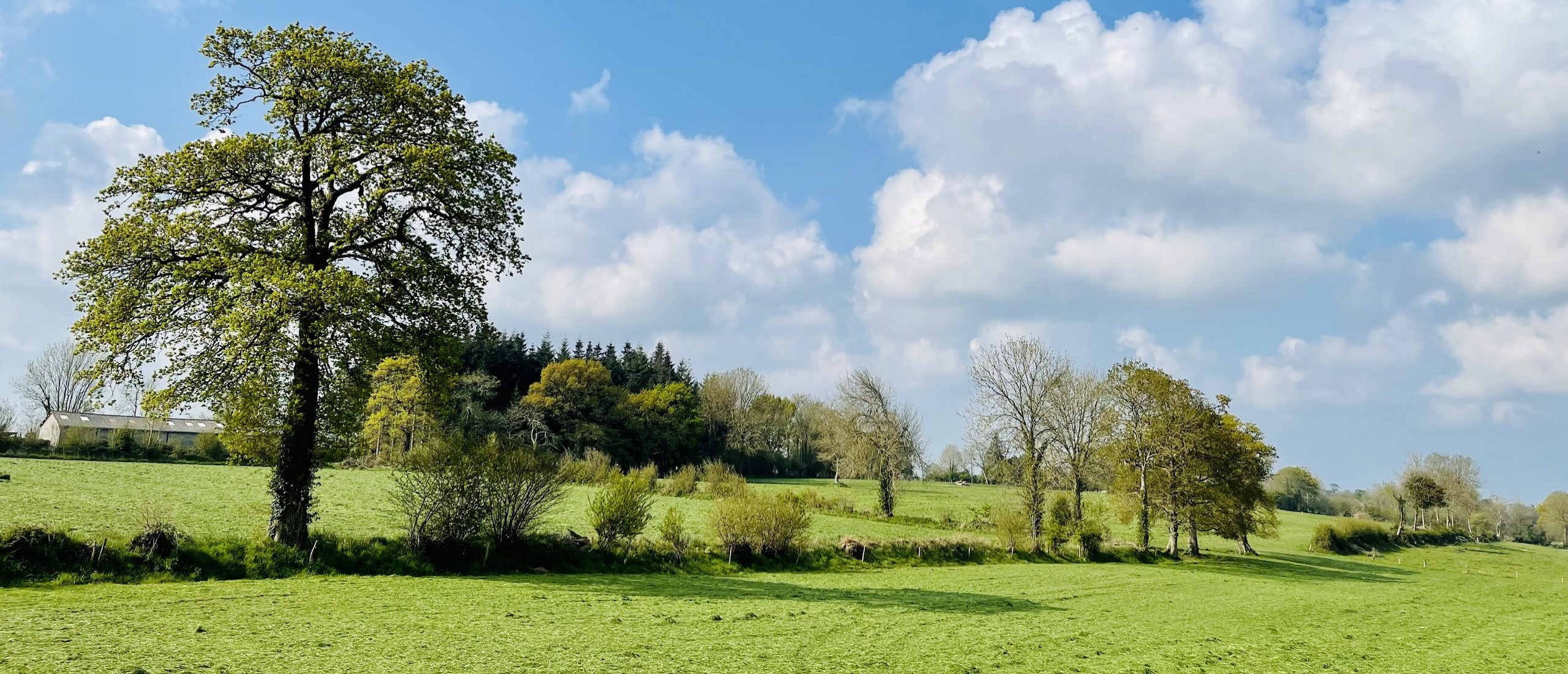 Folligny, La Beslière & Le Mesnil-Drey