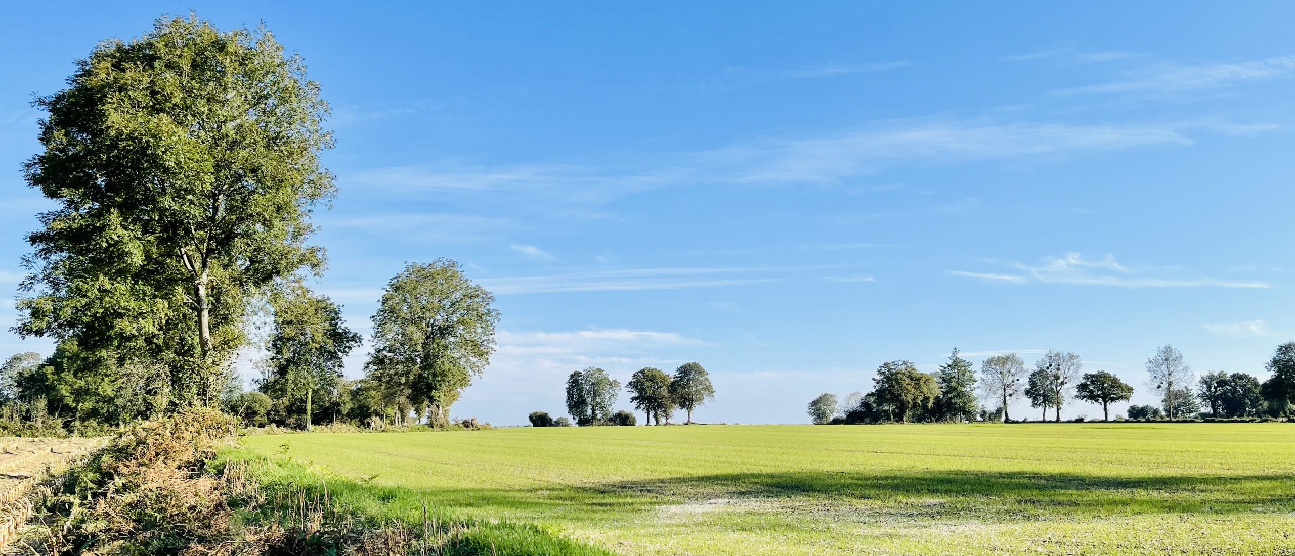 Commune de Folligny (Manche - 50)